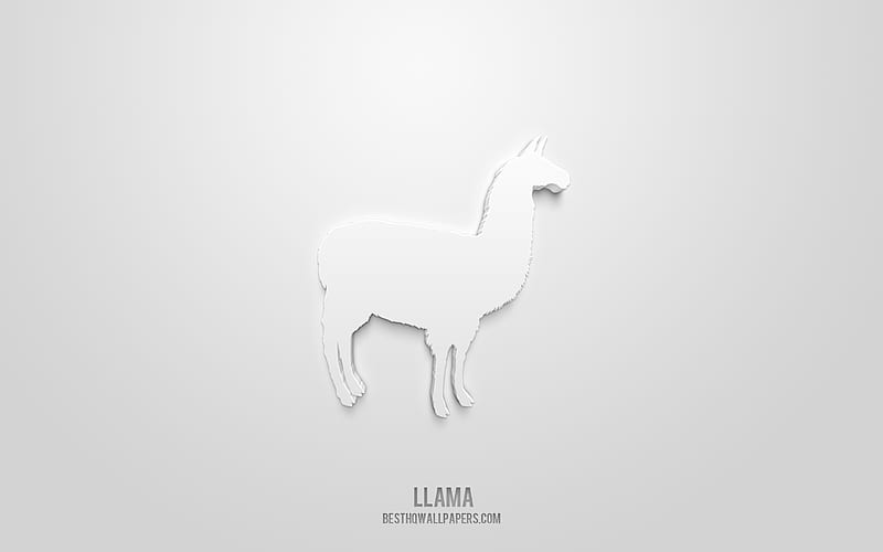 Llama 3d icon, white background, 3d symbols, Llama, creative 3d art, 3d icons, Llama sign, Animals 3d icons, HD wallpaper