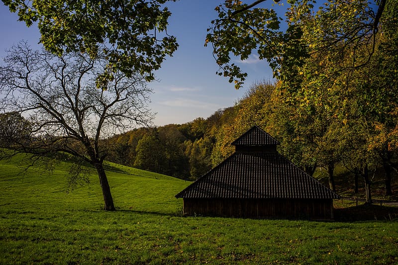 Landscape, Tree, Fall, Lodge, Germany, , North Rhine Westphalia, HD wallpaper
