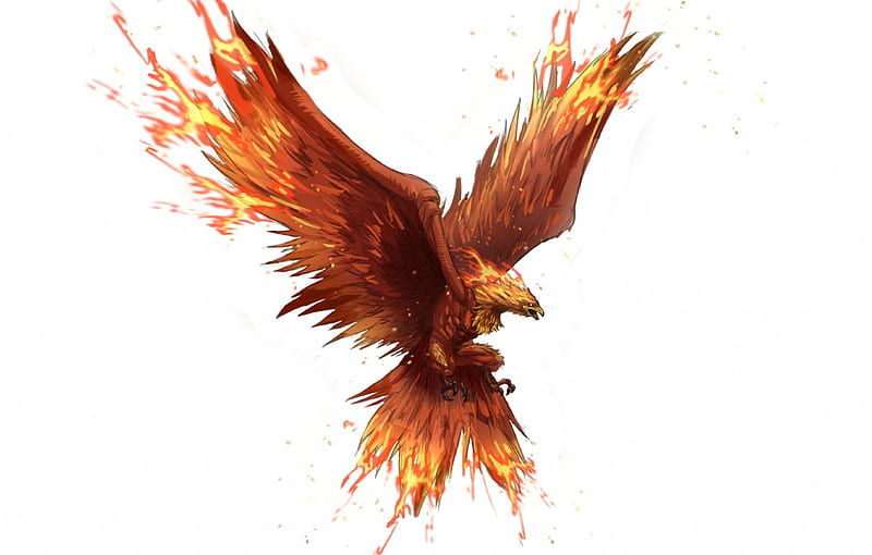 The Phoenix, fire, bird, mythology, phoenix, HD wallpaper