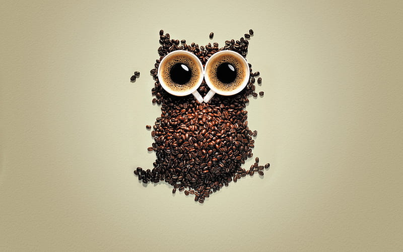 No Sleep, owl, coffee, creative, brown, HD wallpaper