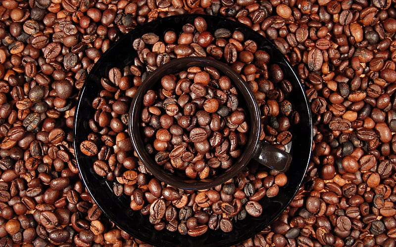 Concentric Circles, concentric, coffee, saucer, circles, abstract, cups, HD wallpaper