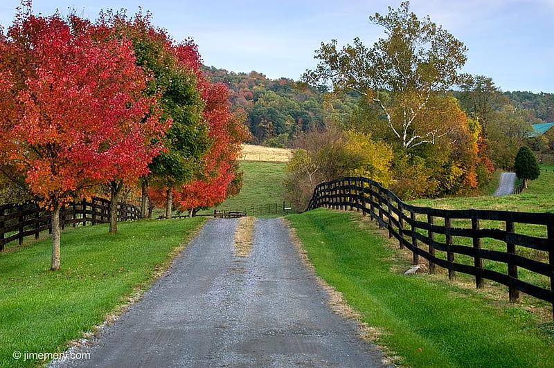 Bucolic scene in rural North Virginia., fence, rural, fall, autumn, grass, sky, tree, nature, road, HD wallpaper