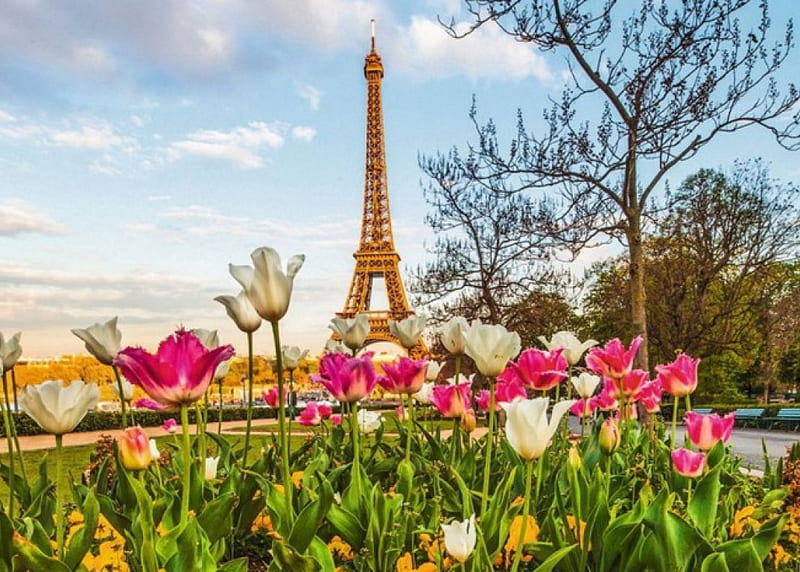 Springtime in Paris, tree, eiffel tower, blossoms, colors, tulips, clouds, HD wallpaper