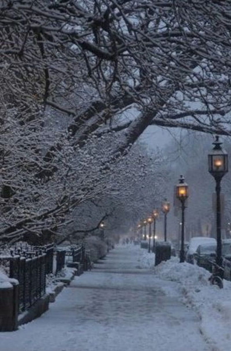 Streets, lamp, lights, snowy, winter, HD phone wallpaper
