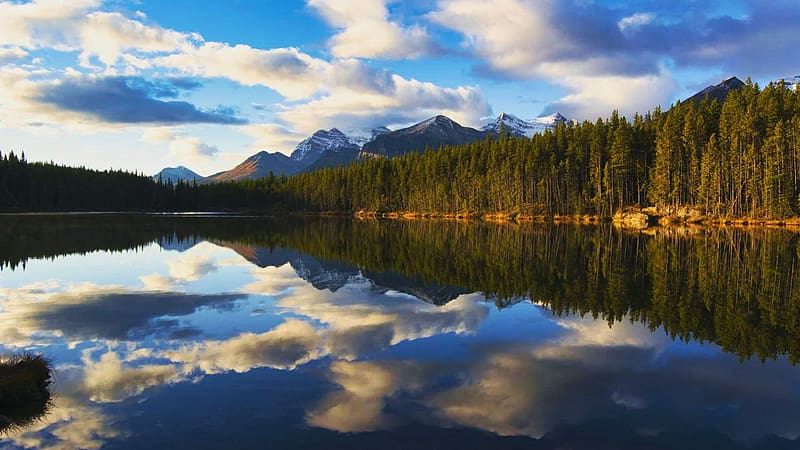 Herbert Lake Reflections, Banff NP, Alberta, clouds, trees, sky, mountains, canada, water, forest, reflections, landscape, HD wallpaper