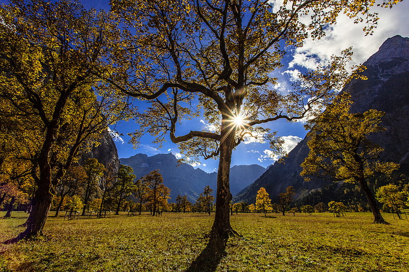 Earth, Sunbeam, Austria, Cloud, Mountain, Tree, Valley, HD wallpaper