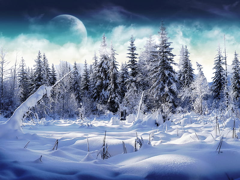 Cold landscape, snow, ze, bonito, winter, cold, landscape, HD wallpaper