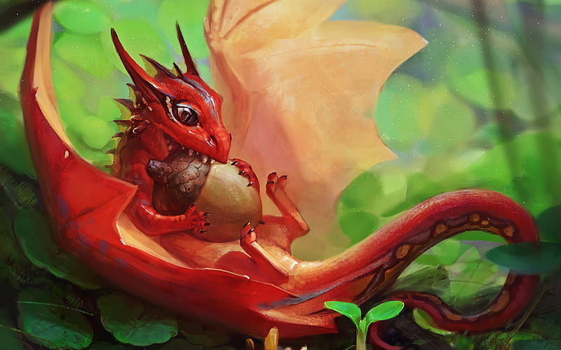 red dragon, fantastic forest, acorn, dragons, artwork, HD wallpaper