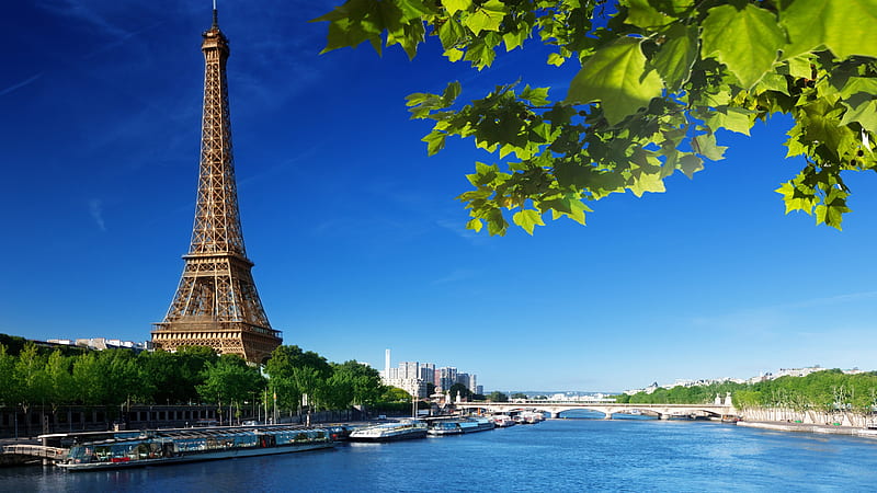 Paris Eiffel Tower On Side With Blue Sky Background And Green Leaves Travel, HD wallpaper