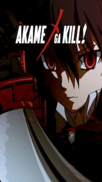 Akame ga Kill A Reflection on the Futility of Violence  Mage in a Barrel