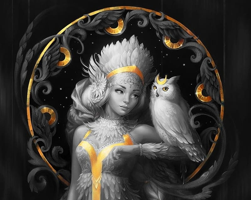 Moon Goddess, owl, art, moon, luminos, goddess, black, yellow, svetlana bukanova, fantasy, moon, bufnita, artemis, girl, white, diana, HD wallpaper