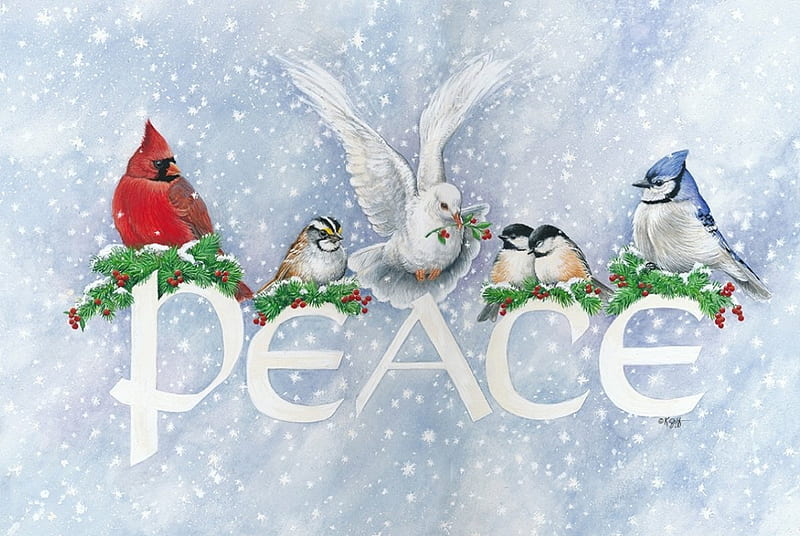 PEACE DOVE, DOVE, BIRDS, CHRISTMAS, CARD, HD wallpaper
