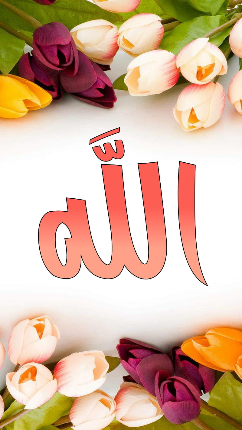 ALLAH, arabic, athkar, flower, god islamic, love, muslim, pink, HD phone wallpaper