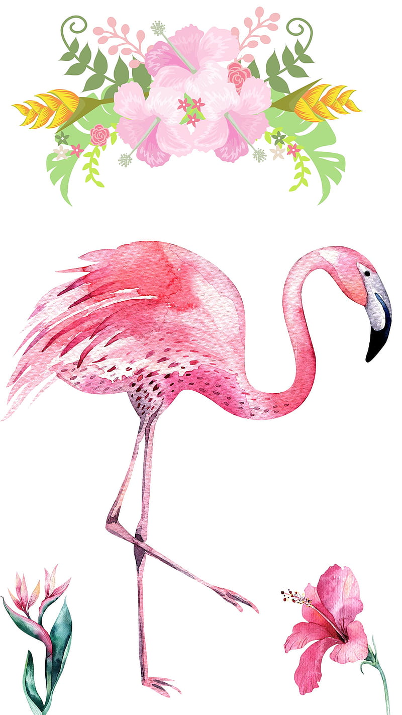 Flamingo Celebration, bird , cute , flamingo , pink, pink flowers, tropical, tropical , with flamingo, HD phone wallpaper