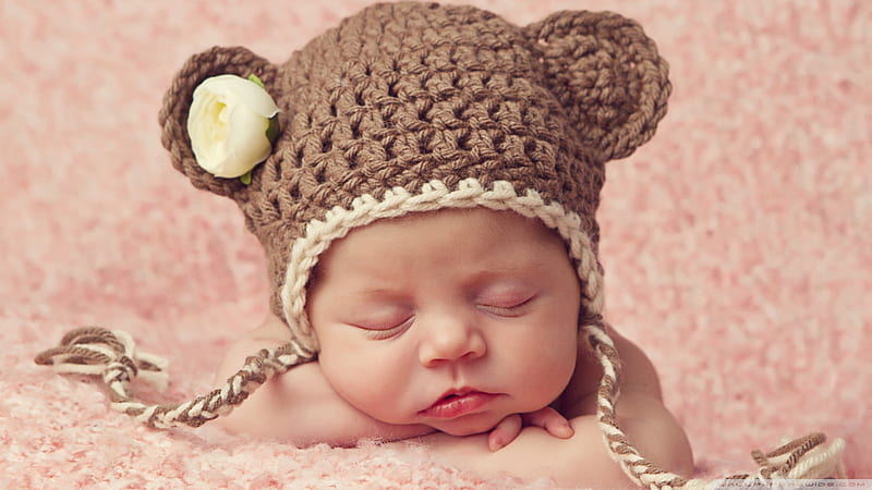 Cute Beautiful Newborn Baby Is Sleeping On Hands Wearing Brown Woolen Knitted Cap Cute, HD wallpaper