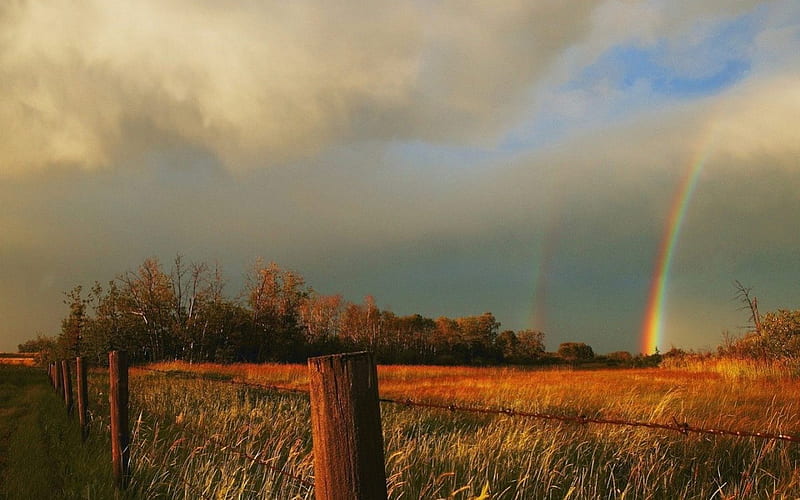 Rainbows After the Storm, Kansas, fence, kansas, poles, band, colors, layers, rainbow, trees, sky, clouds, storm, double, nature, field, blue, HD wallpaper