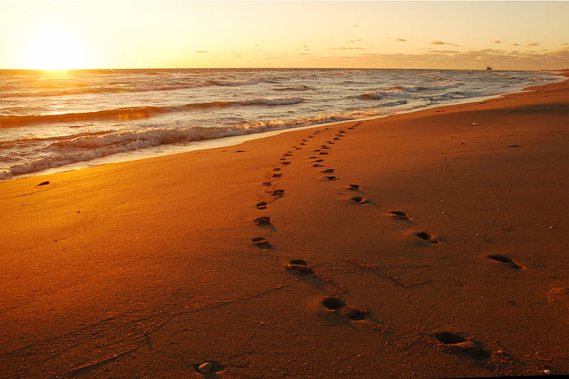 Footsteps In The Sand, beach, footsteps, sunset, sand, HD wallpaper