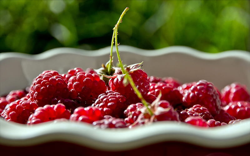 Raspberries, red, delicious, harvest, fruits, fruit, berry, berries, tasty, summer, raspberry, bowl, HD wallpaper