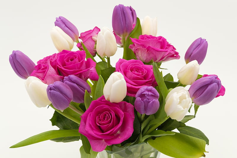 Tulipanes y rosas, ramo, flores, naturaleza, tulipanes, rosas, Fondo de  pantalla HD | Peakpx