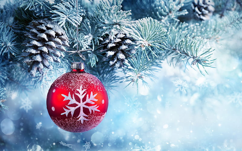 New Year tree, New Year, red Christmas ball, snow, winter, needles, HD wallpaper