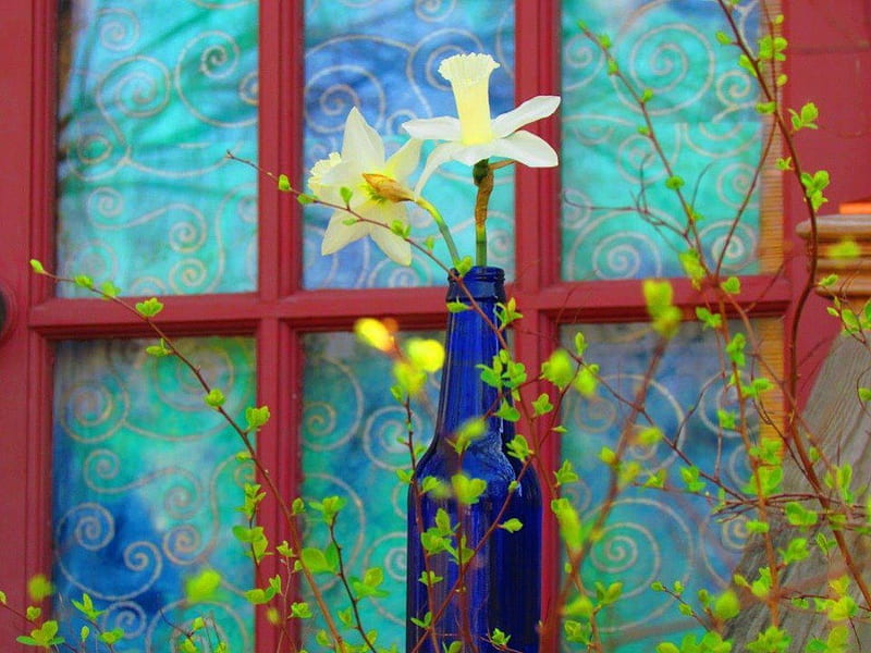 Pretty Window Decoration, pretty, decorate, window, bottle, flower, yellow, blue, HD wallpaper