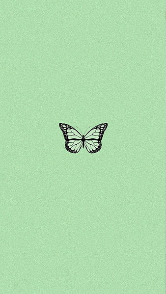 Aesthetic green, aesthetic, aesthetic butterfly, black, butterfly, cute, green, iphone, theme, wall, HD phone wallpaper