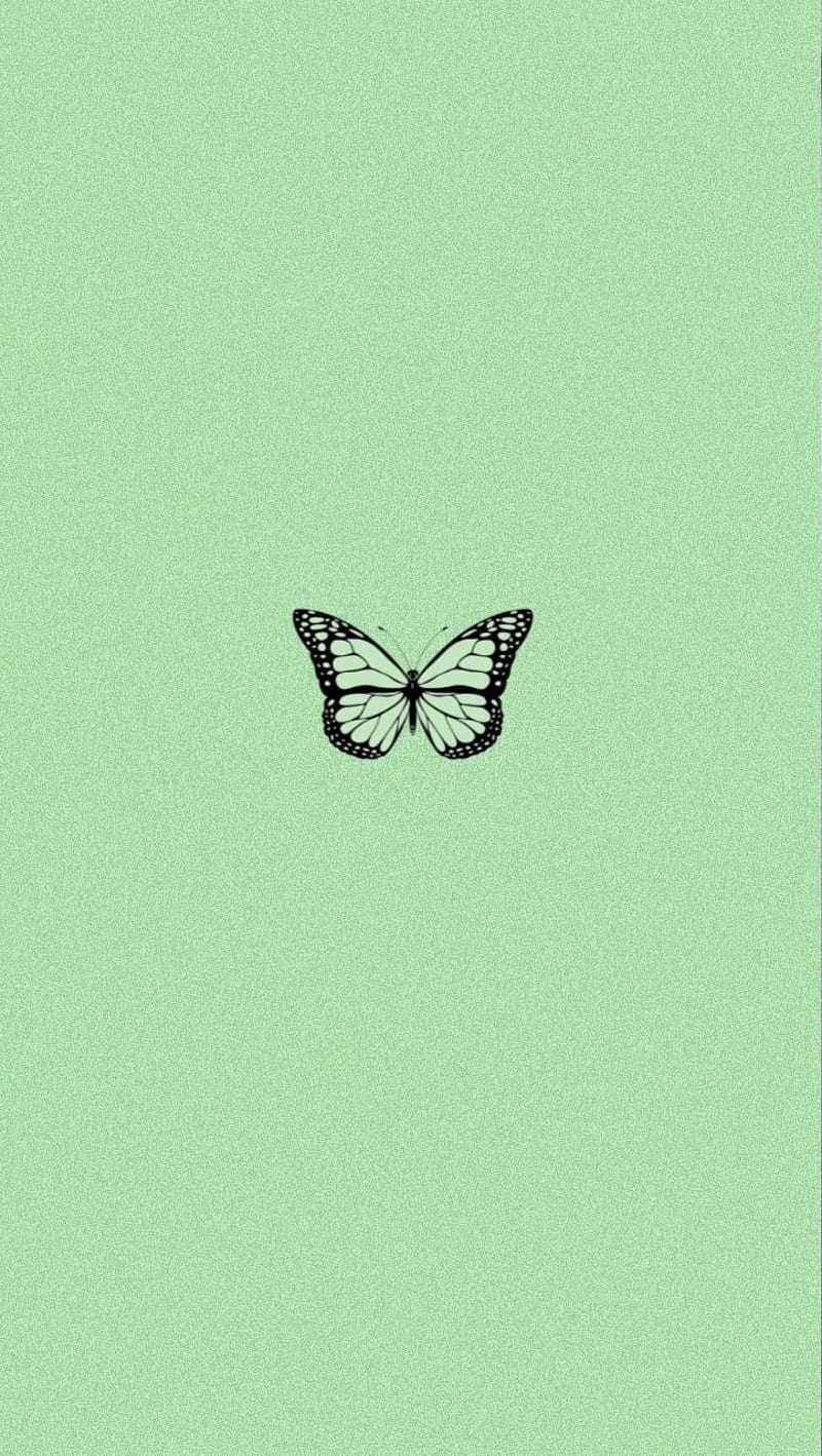 Aesthetic green, aesthetic, aesthetic butterfly, black, butterfly, cute,  green, HD phone wallpaper | Peakpx