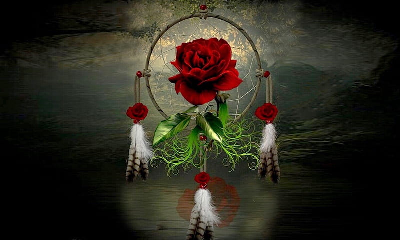 Rose Dream Catcher, Reflection, native American, red, rose, bonito, Dream catcher, feathers, HD wallpaper