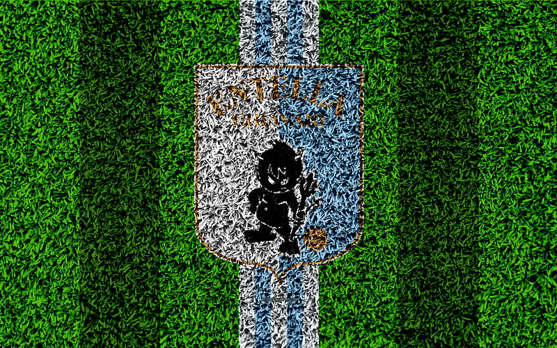 Virtus Entella football lawn, italian football club, logo, white blue lines, grass texture, Serie B, Chiavari, Italy, football, Entella FC, HD wallpaper