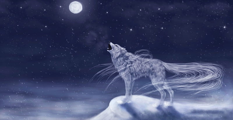 Moonlight Howl, hair, moon, wolf, sky, stars, HD wallpaper