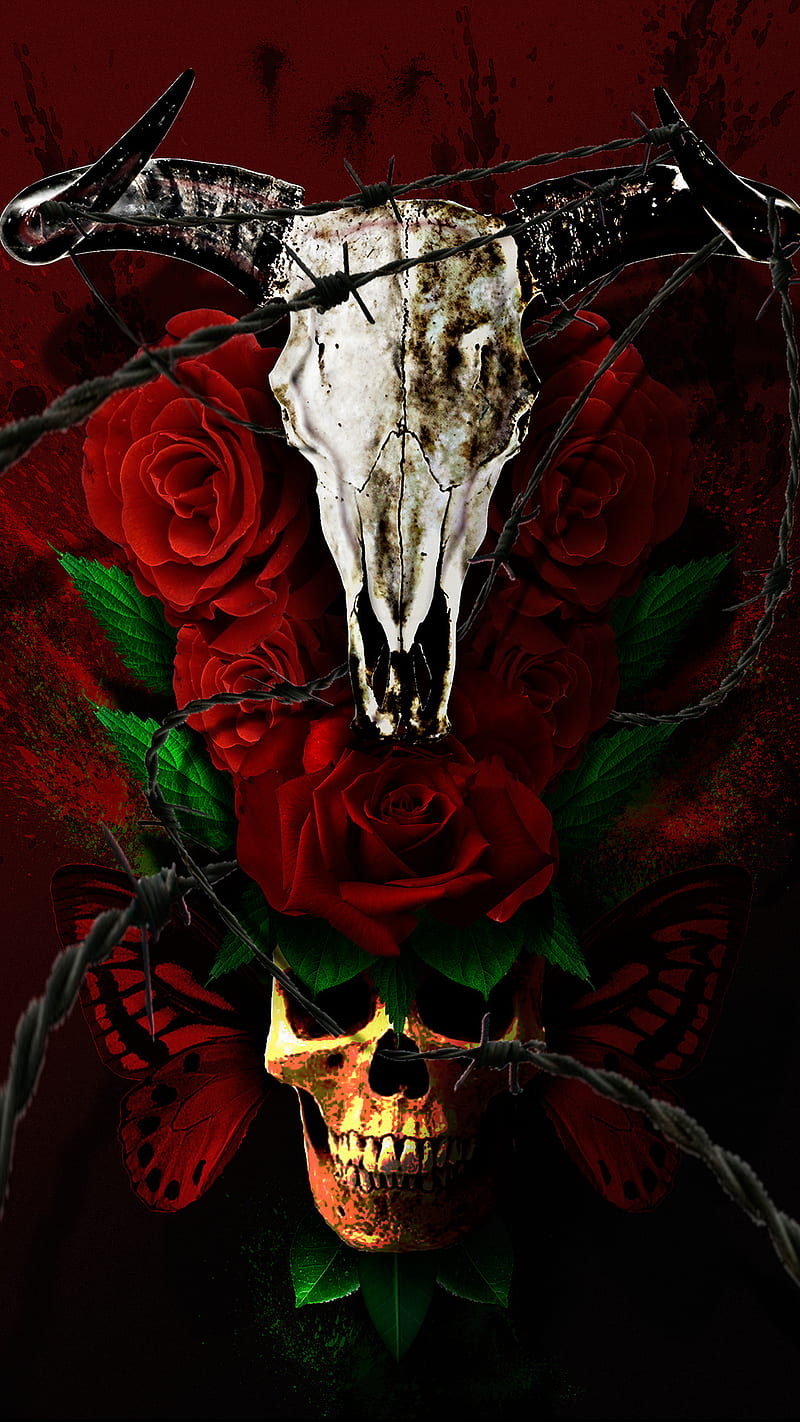 Skulls and Roses, barbed wire, ox skull, skull, HD phone wallpaper