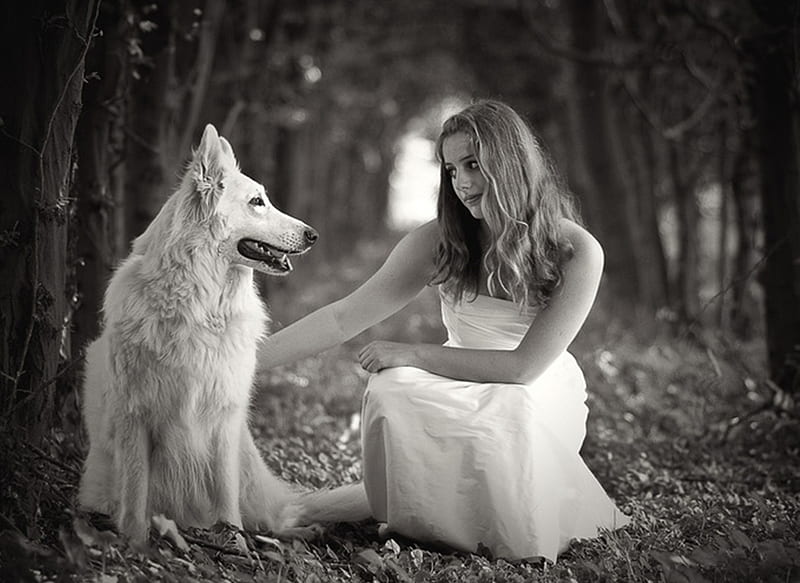 Can we be friends?, forest, dress, wolf, white, woman, friends, HD wallpaper