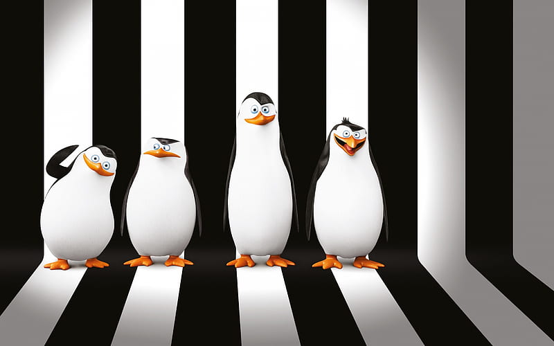 Penguins of Madagascar, characters, 3d penguins, HD wallpaper
