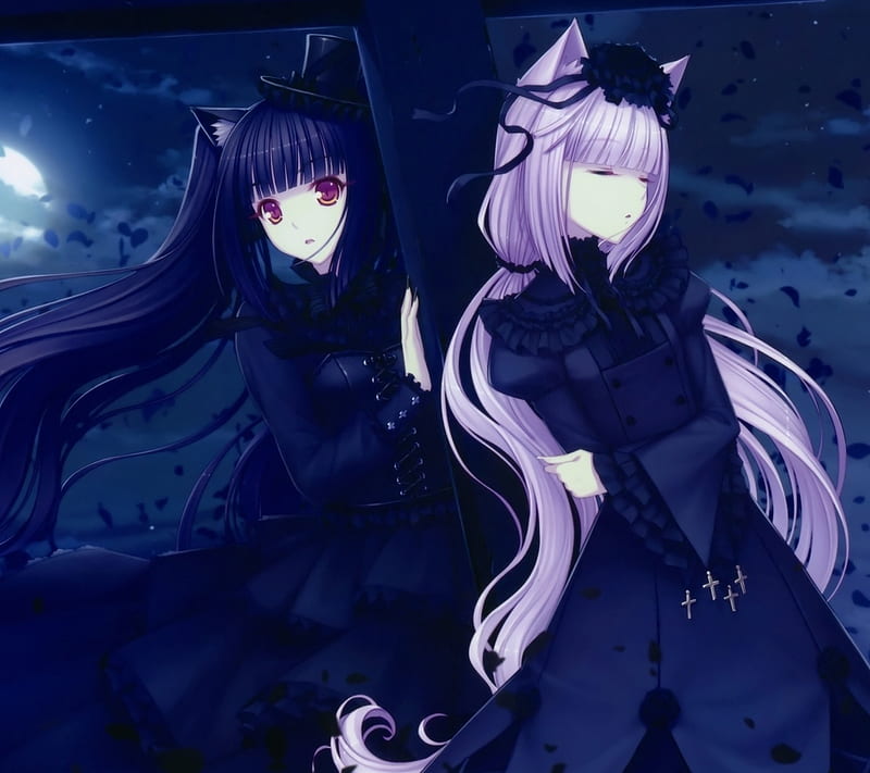 Neko, anime, cat, catgirls, darkness, graveyard, night, purple, HD wallpaper