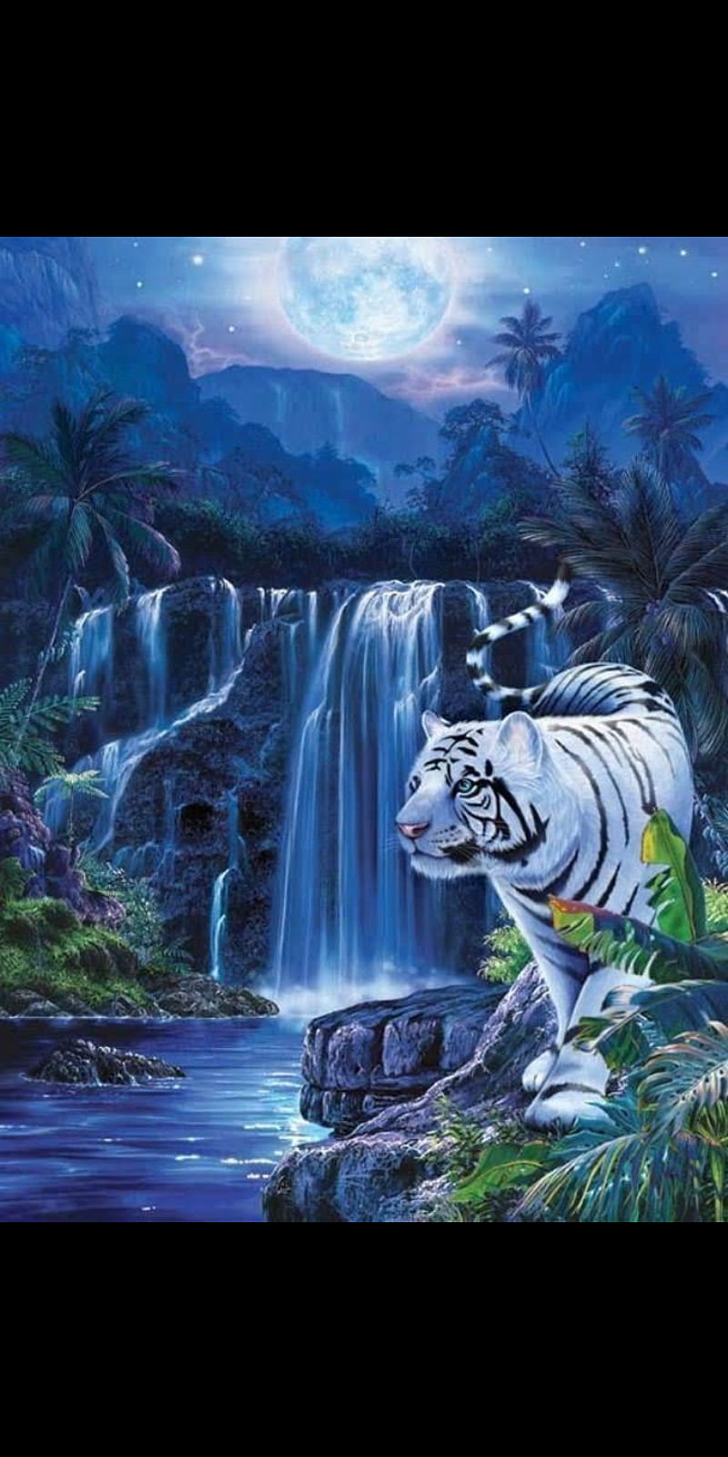 White tiger, waterfall, HD phone wallpaper | Peakpx