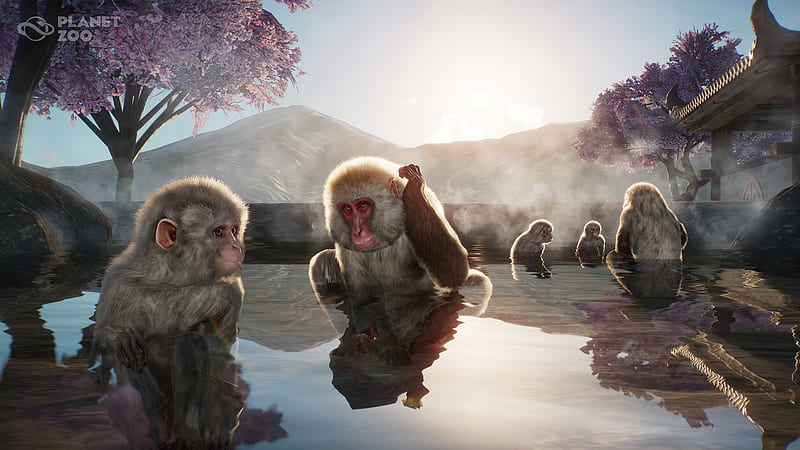Video Game, Planet Zoo, Monkey, HD wallpaper