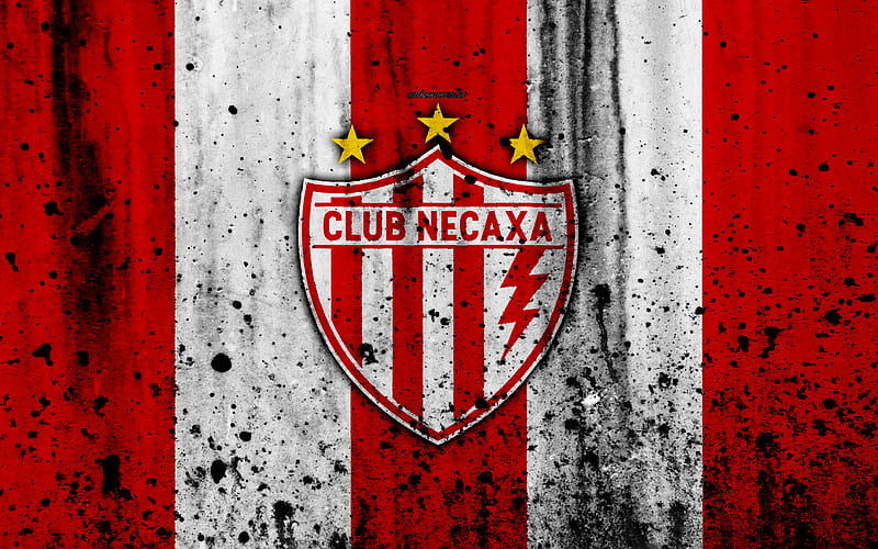 FC Necaxa, grunge, Liga MX, soccer, art, Primera Division, football club,  Mexico, HD wallpaper | Peakpx