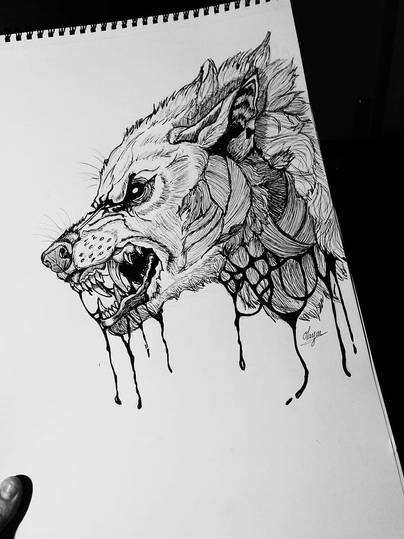 Wolf drawing, dessin, gore, halloween, horror, loup, tattoo, HD phone  wallpaper | Peakpx