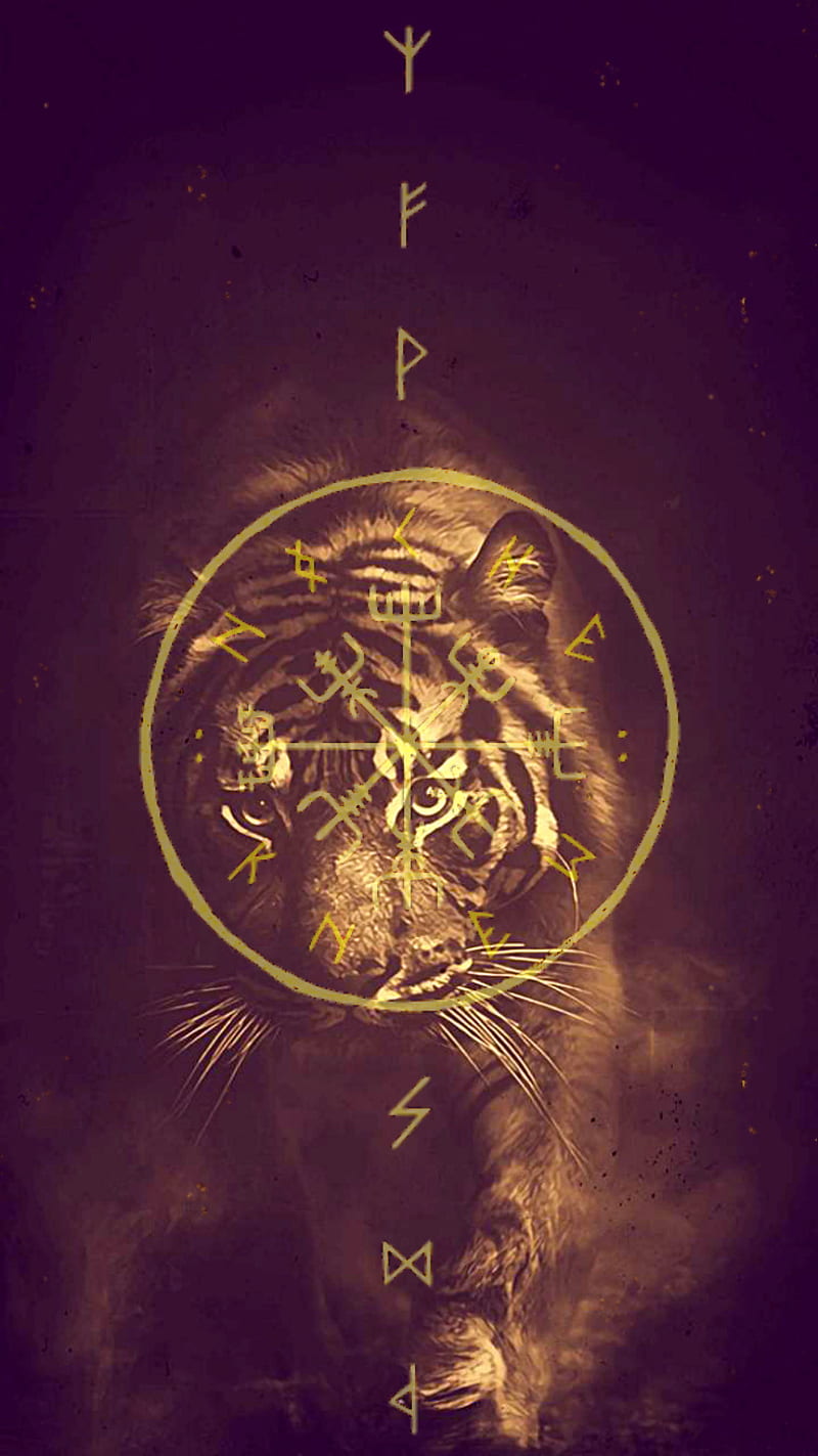Animal Instincts, gold, norse, runes, tiger, viking, HD phone wallpaper