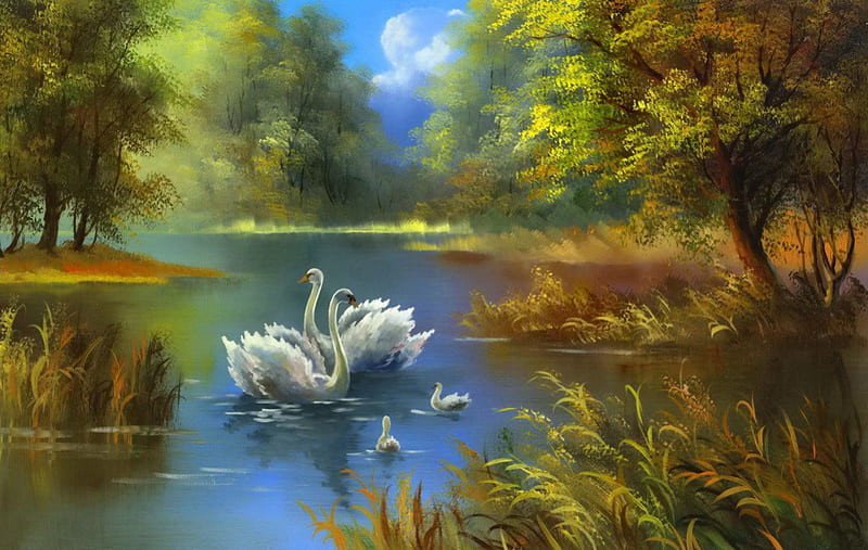 Swan lake, pretty, family, autumn, riverbank, shore, bonito, swan, nice, painting, river, reflection, animals, art, quiet, calmness, lovely, birds, sky, lake, pond, serenity, branches, HD wallpaper