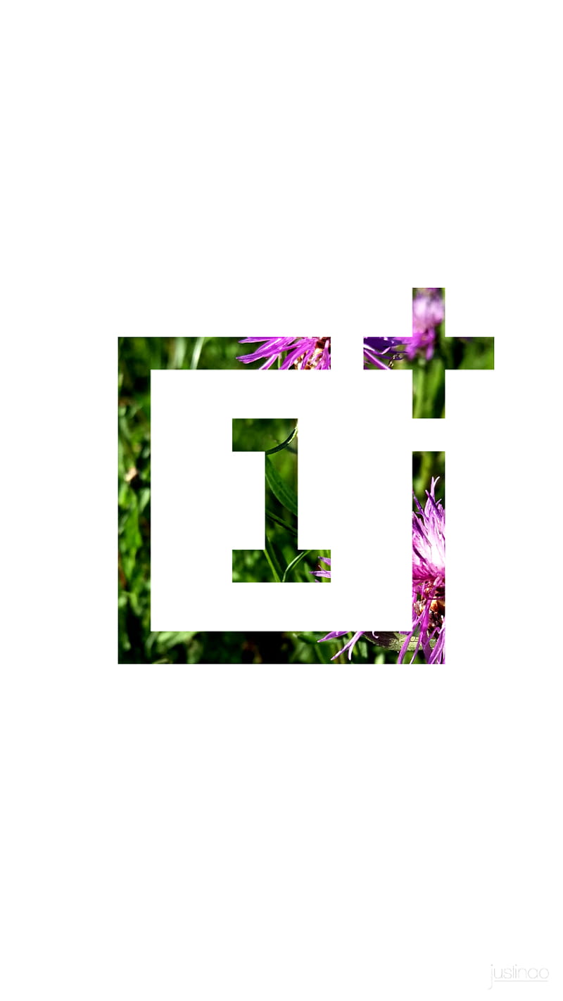 oneplus, flower, grass, green, logo, meadow, pink, summer, HD phone wallpaper