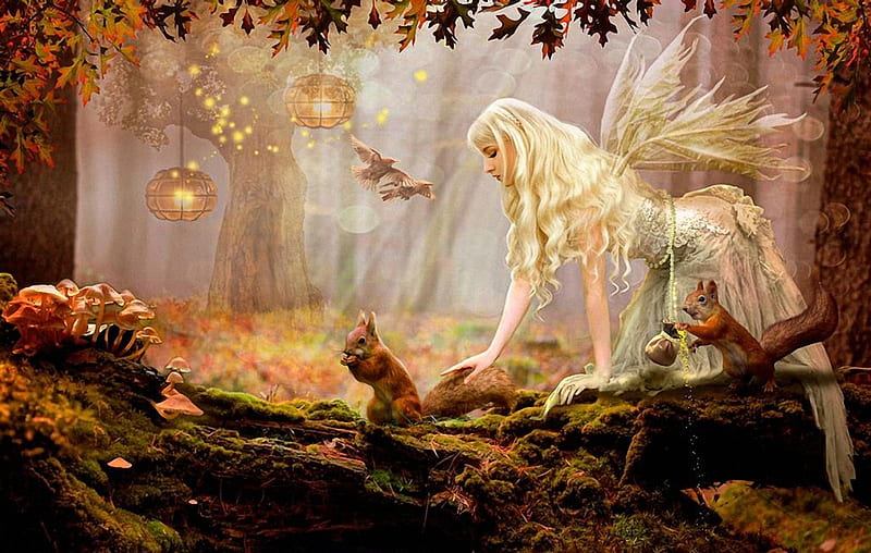 Play with Squirrels, squirrel, girl, light, fairy, HD wallpaper