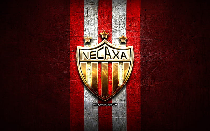 Club Necaxa FC, golden logo, Liga MX, red metal background, football, Club  Necaxa, HD wallpaper | Peakpx