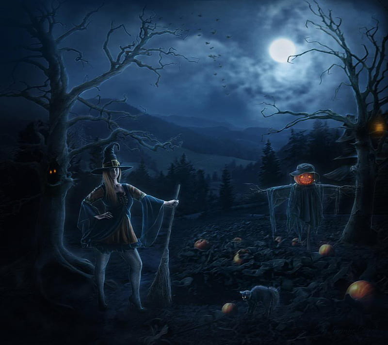 Halloween is Coming, HD wallpaper