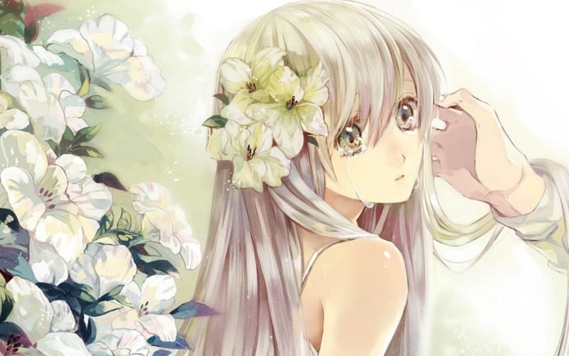 Anime, flor, encantadora, llorando, Fondo de pantalla HD | Peakpx