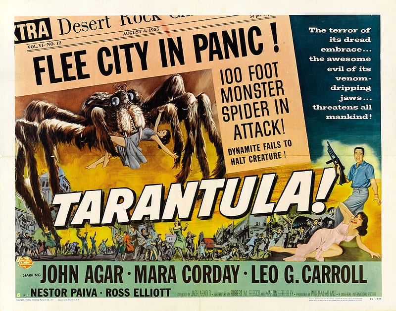 tarantula, monster, spider, girl, HD wallpaper