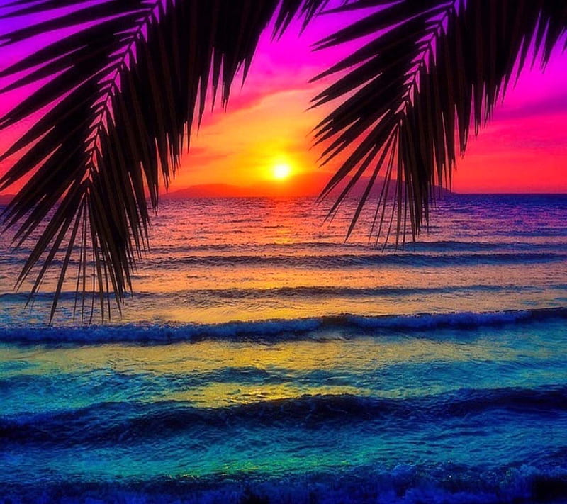 Seaside Sunset, look, nice, HD wallpaper