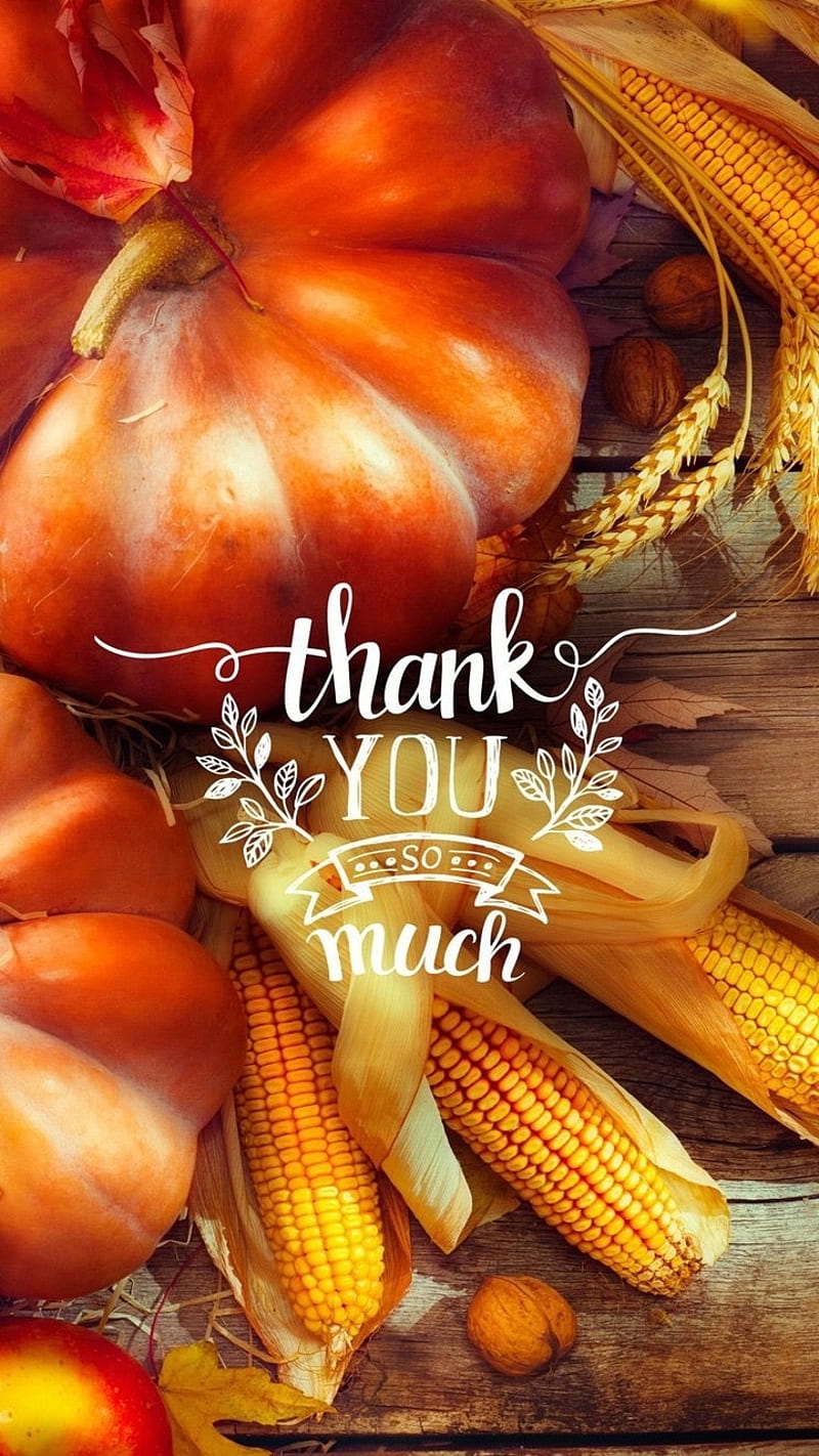 Thanksgiving thanks, thanksgiving, happy thanksgiving, give thanks,  pumpkins, HD phone wallpaper | Peakpx