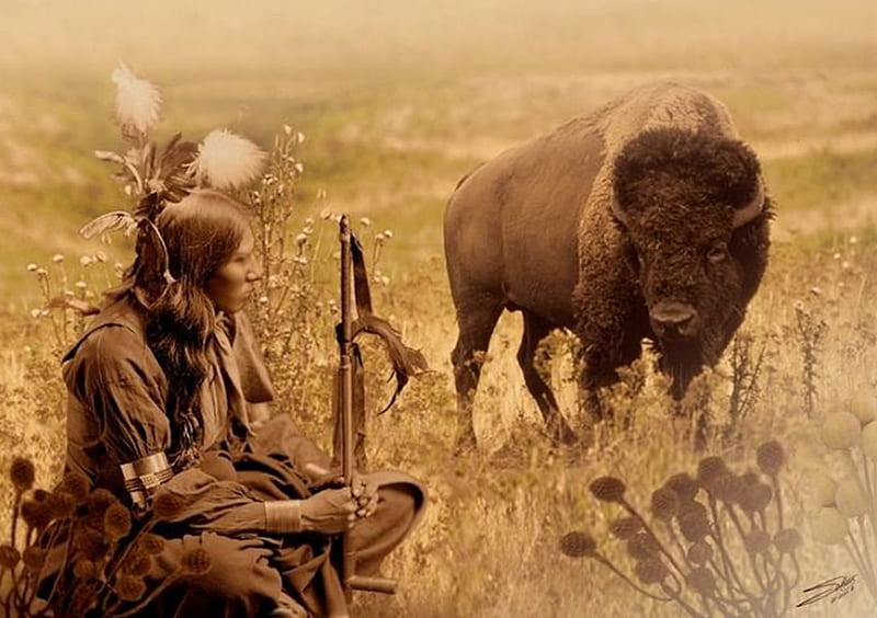 Sioux and Bison, art, Bison, people, native american, Sioux, HD wallpaper