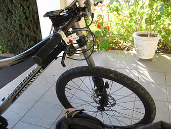 Cannondale scalpel lefty online carbon